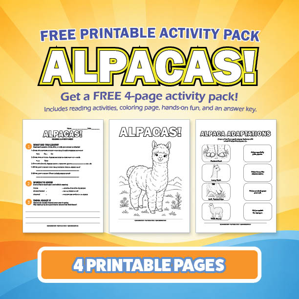 Free Alpacas Printable Activity Pack for Kids